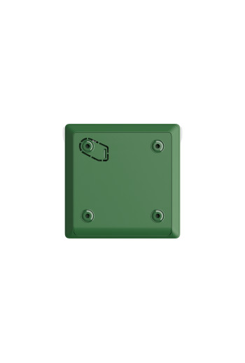 Manual Call Point verde